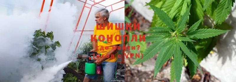 Конопля White Widow  наркота  Белореченск 